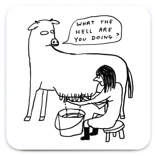 What The Hell Cow David Shrigley Coaster
