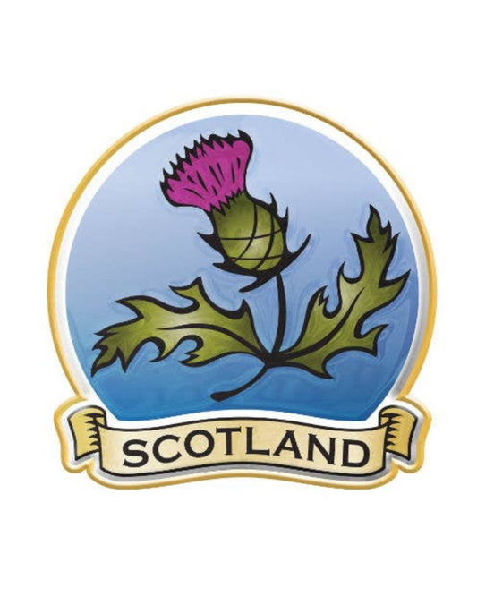 Thistle Scotland Metal Enamel Magnet