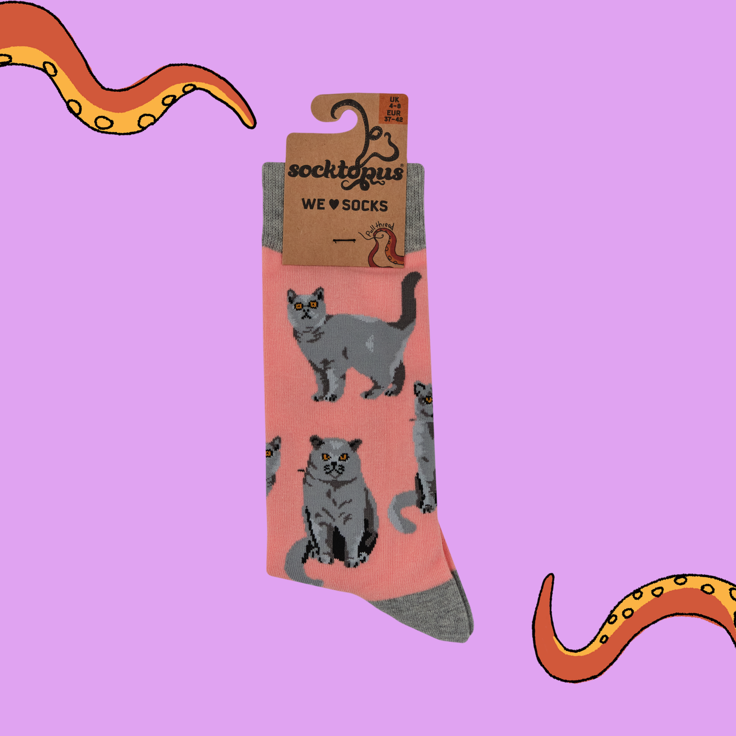 British Shorthair Cat Crew Socks in Pink
