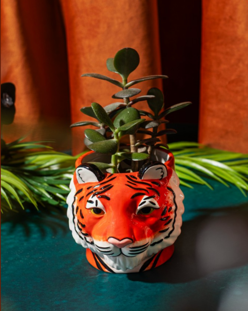 Mini Tiger Head Planter