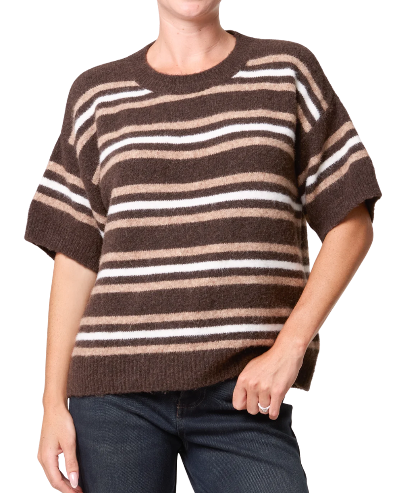 Striped Knit Short Sleeve Jumper in Brown
