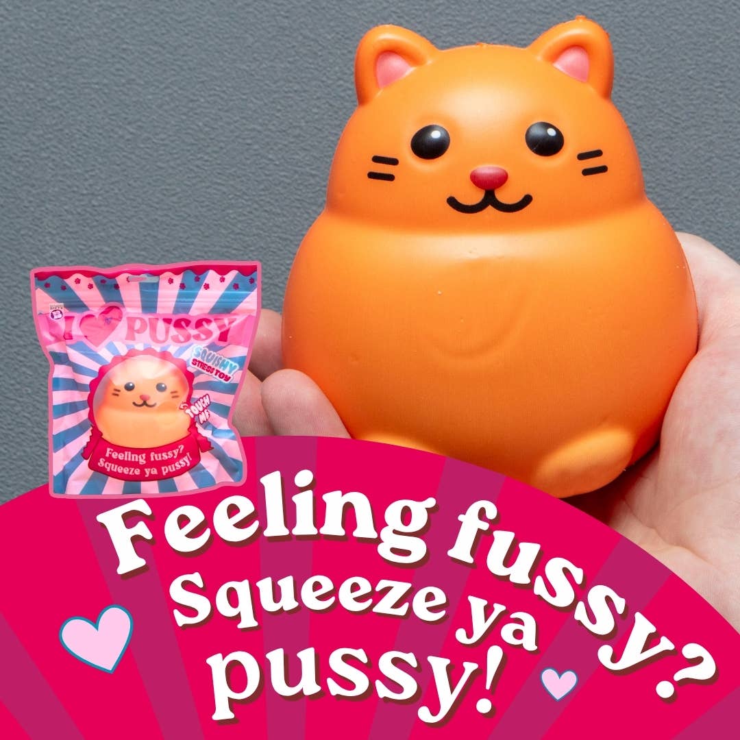Squishy I Love Pussy Cat Stress Toy