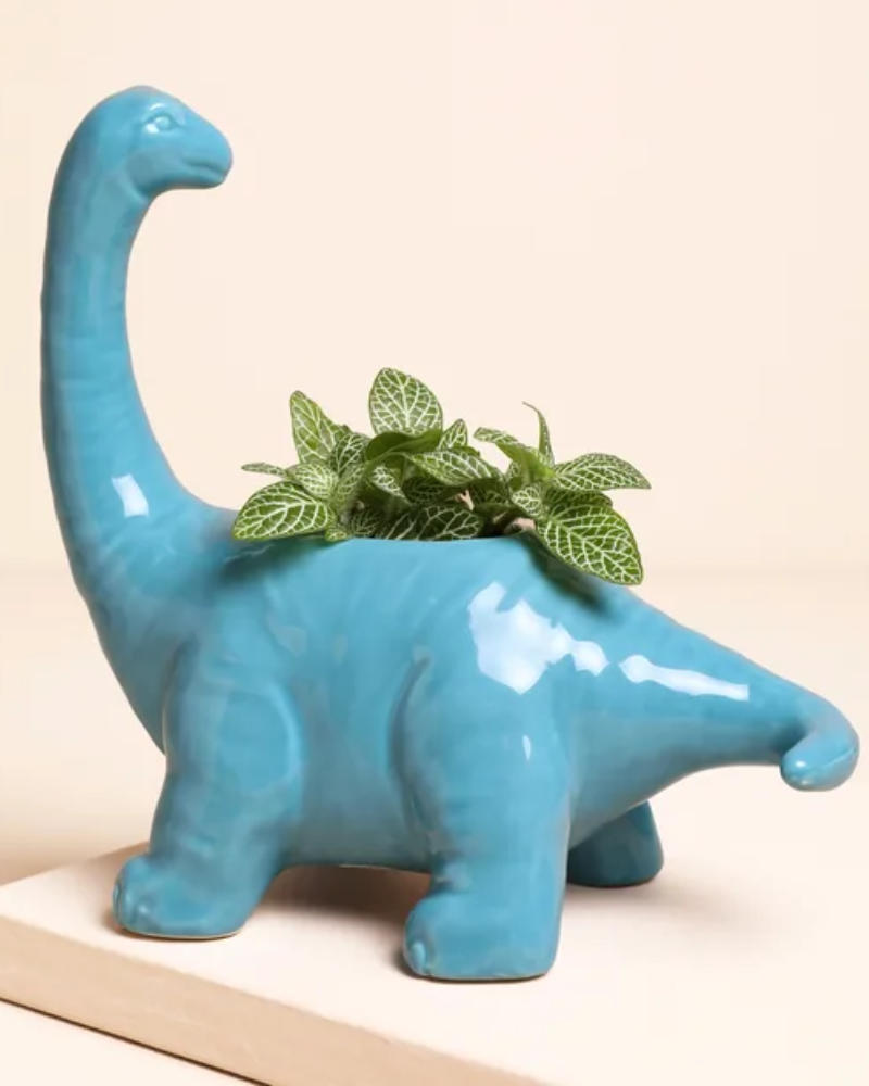 Teal Diplodocus Dinosaur Planter