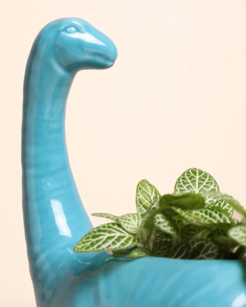Teal Diplodocus Dinosaur Planter
