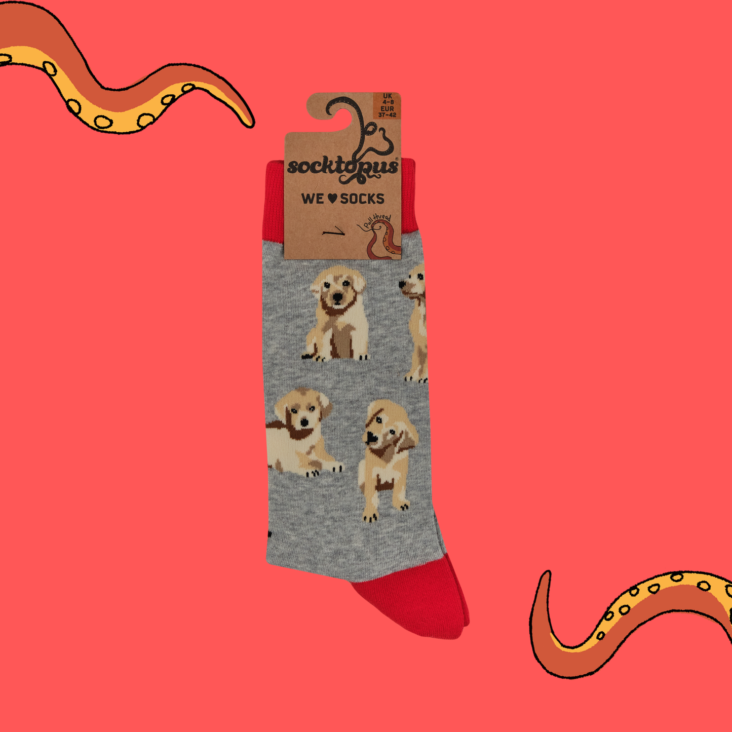 Puppy Love Crew Socks