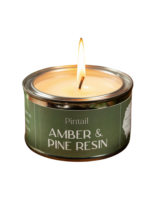 Amber and Pine Resin Paint Pot Candle