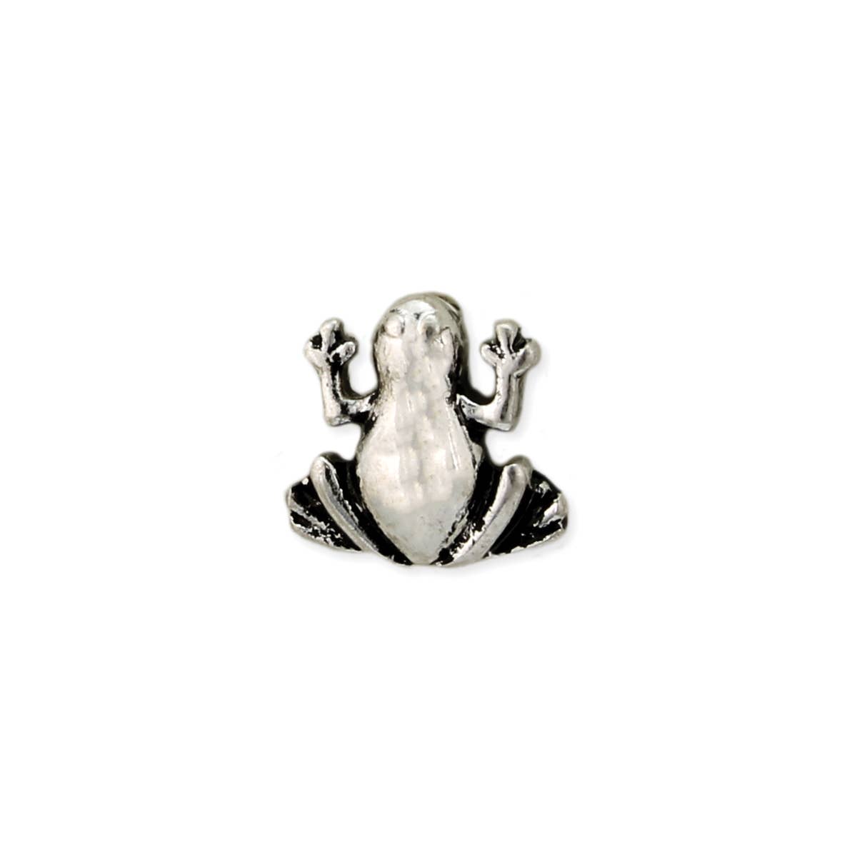 Literary Quotes Silver Frog Post Earrings