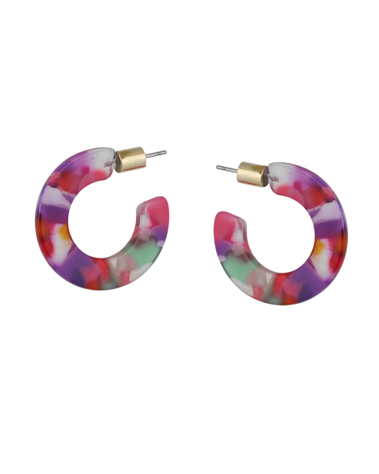 Erica Oval Hoop Earrings in Pink