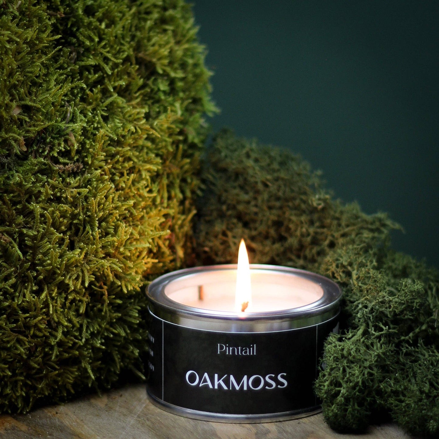 Oakmoss Paint Pot Candle
