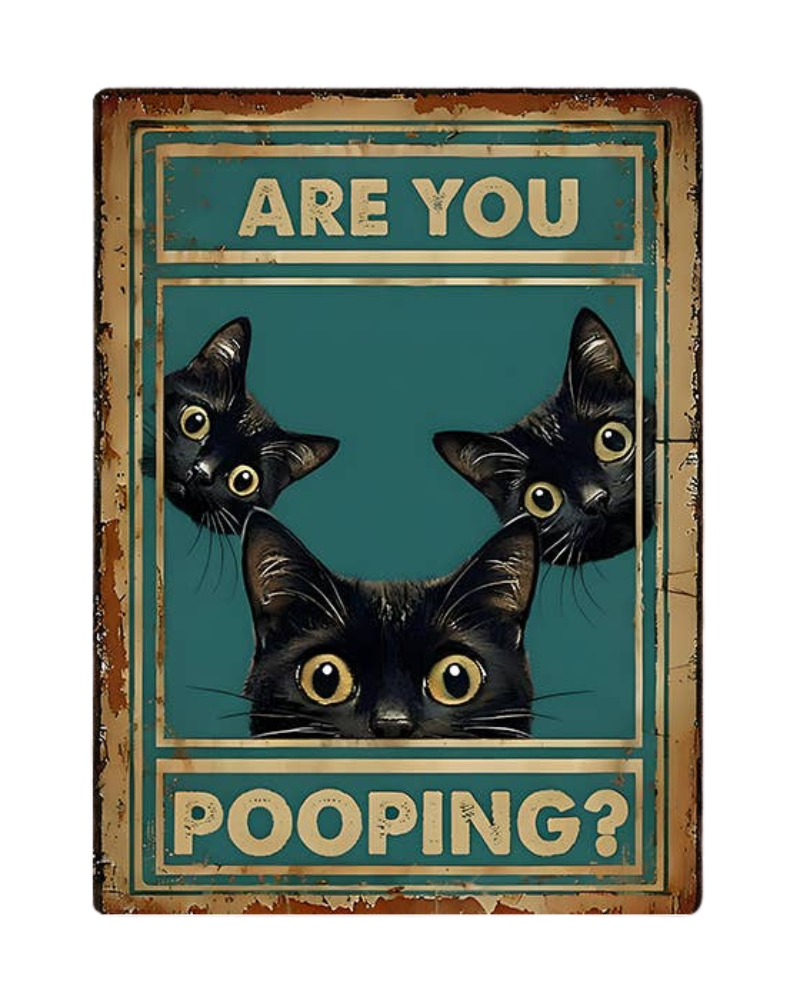 Are You Pooping Bathroom Cats Metal Sign Plaque 6x8inch