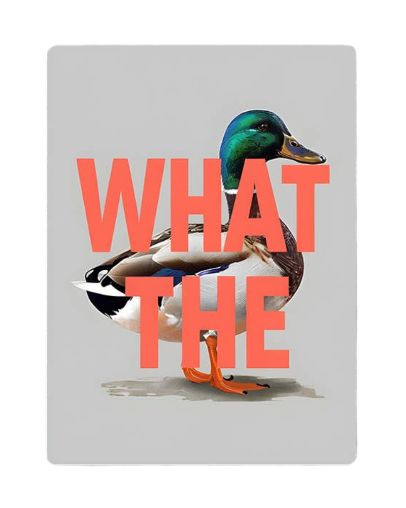 What The Duck Metal Wall Sign Plaque 6x8inch