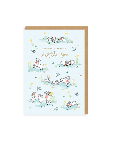 Welcome to the World Little One Greeting Card
