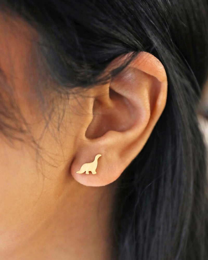 Dinosaur Brushed Stud Earrings