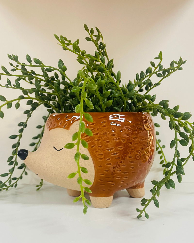 Hedgehog Plant Pot