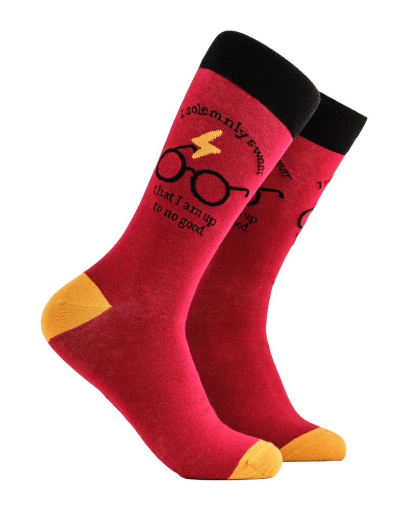 I Solemnly Swear Harry Potter Socks