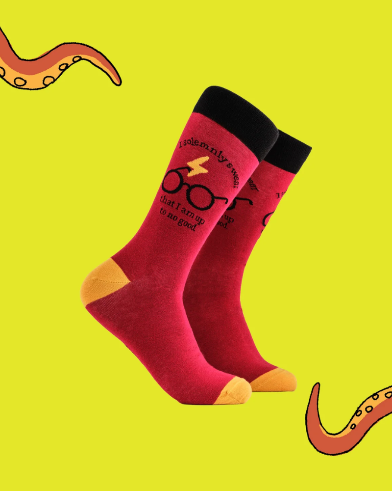 I Solemnly Swear Harry Potter Socks