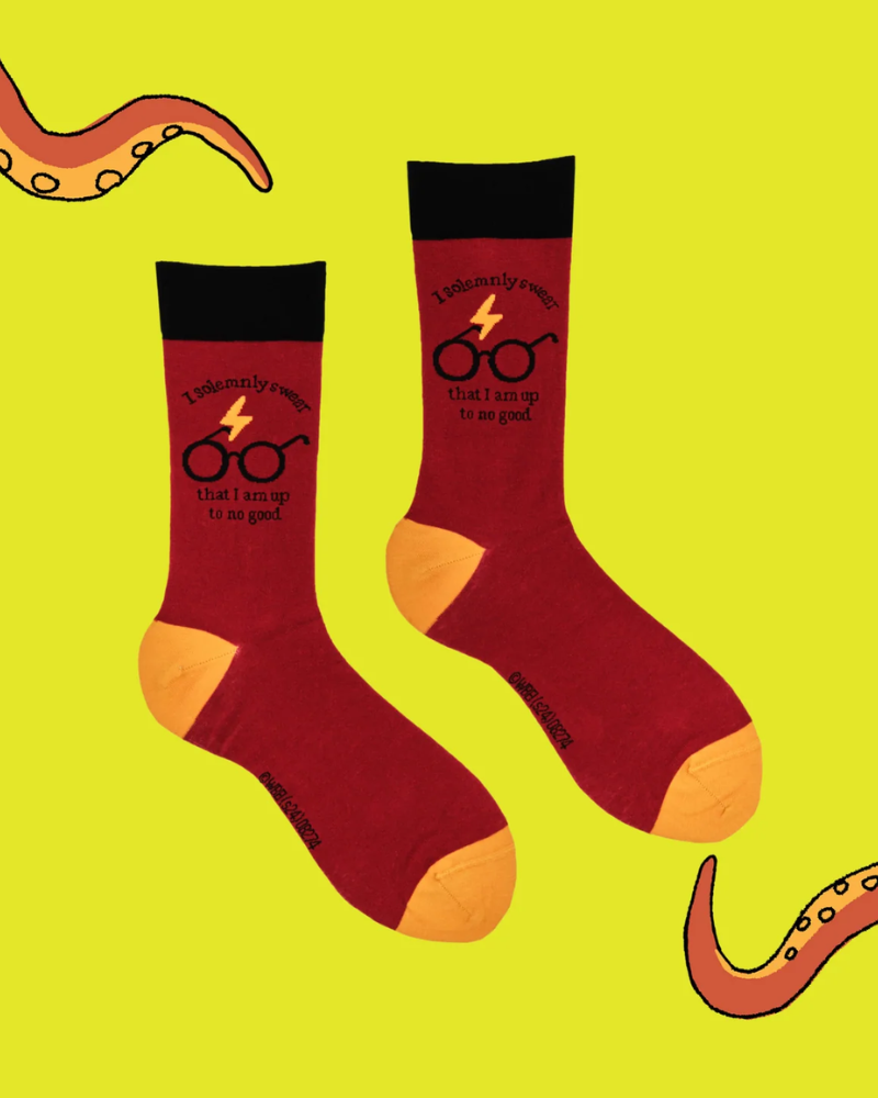 I Solemnly Swear Harry Potter Socks