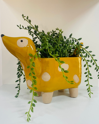 Sausage Dog Plant Pot Mustard