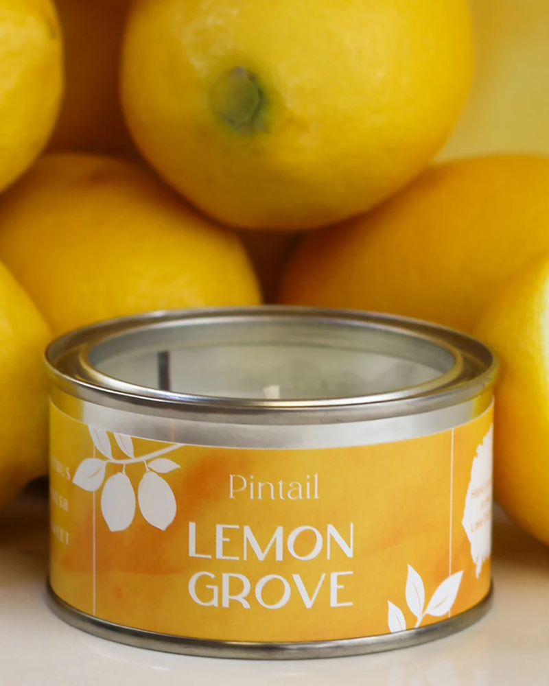 Lemon Grove Scented Paint Pot Tin Candle
