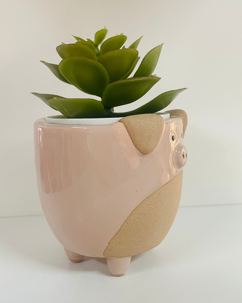 Pig Plant Pot