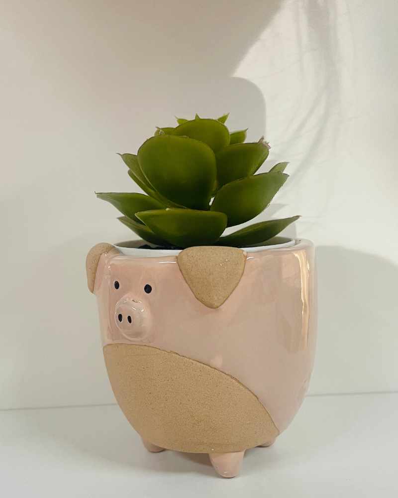 Pig Plant Pot