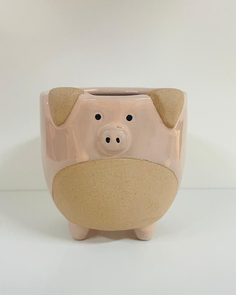 Pig Plant Pot