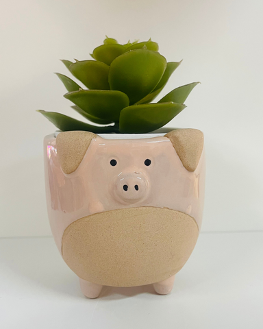 Pig Plant Pot