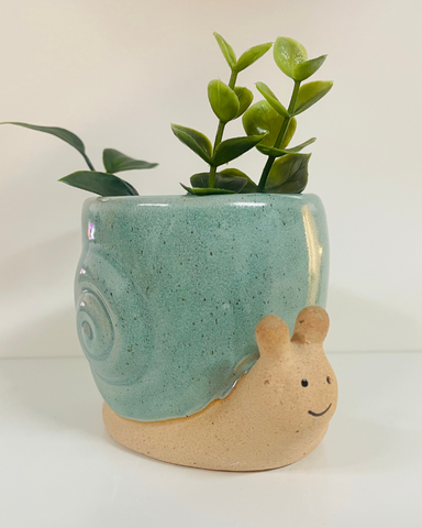 Snail Plant Pot