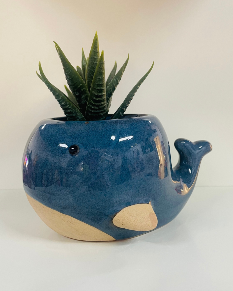 Whale Plant Pot