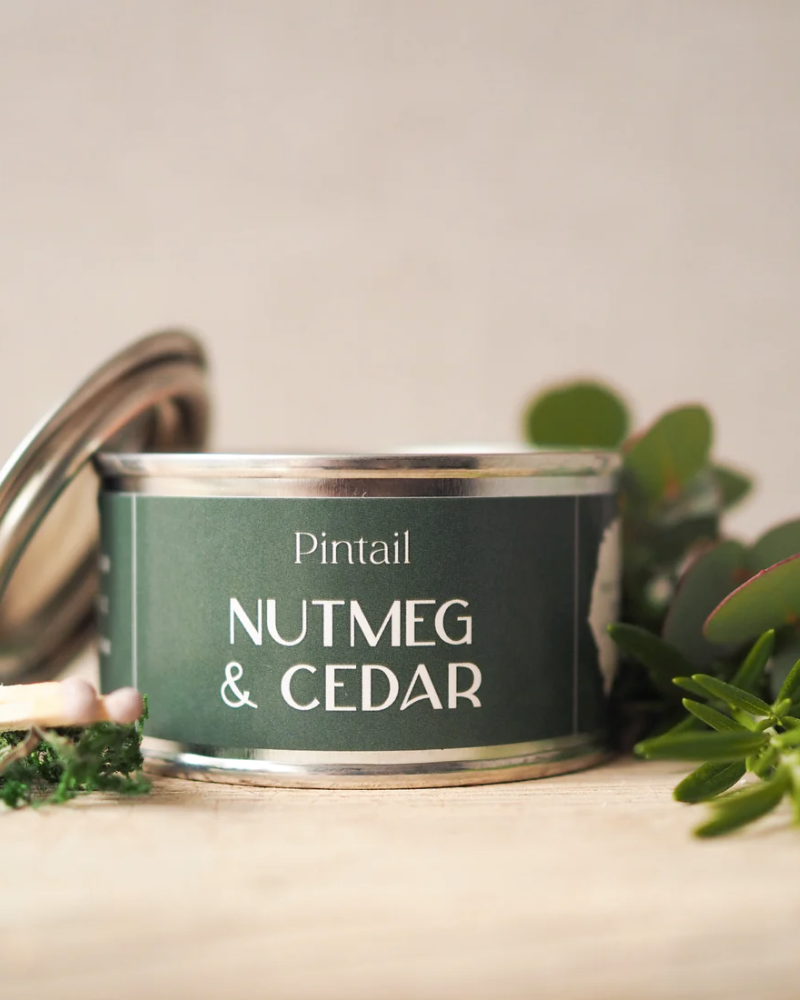 Nutmeg And Cedar Paint Pot Candle