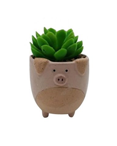 Pig Plant Pot