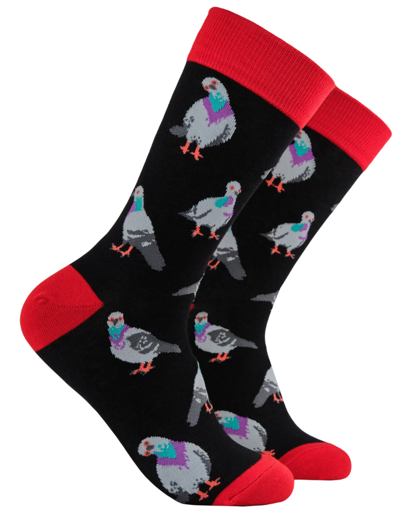George Square Pigeons Socks in Black