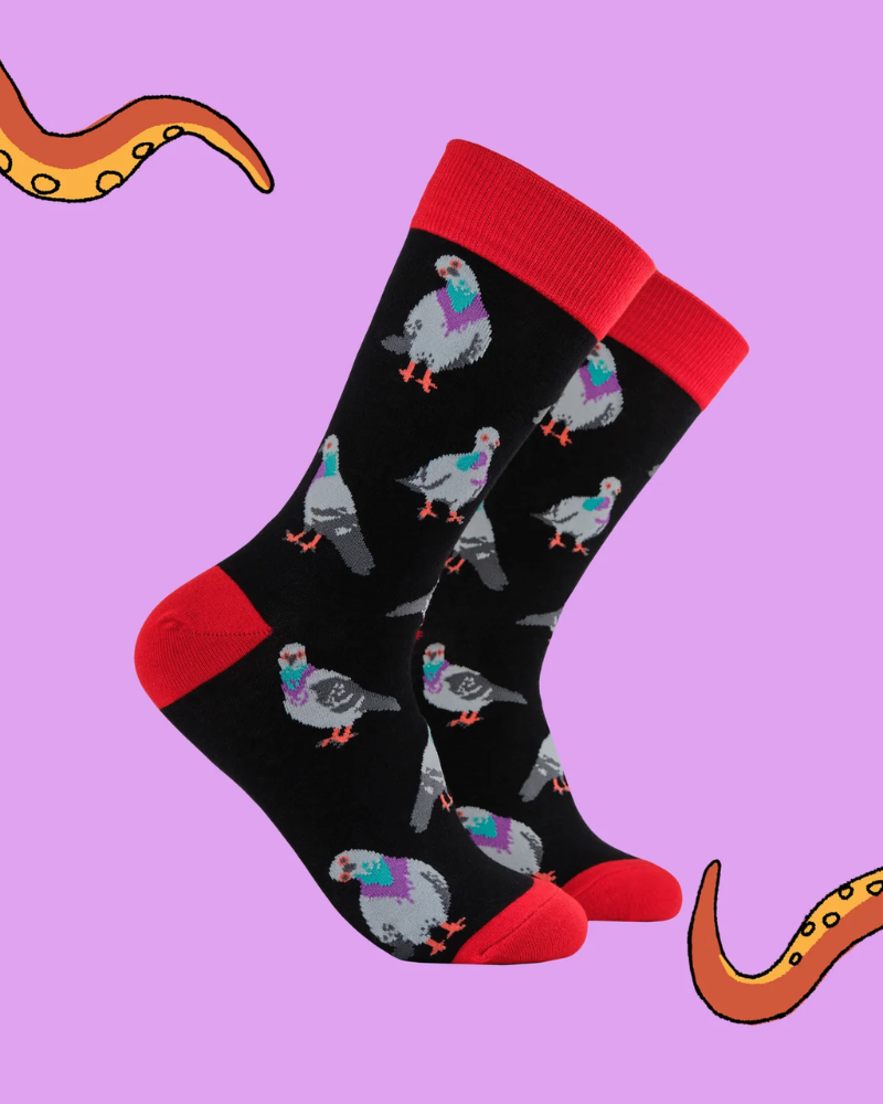 George Square Pigeons Socks in Black