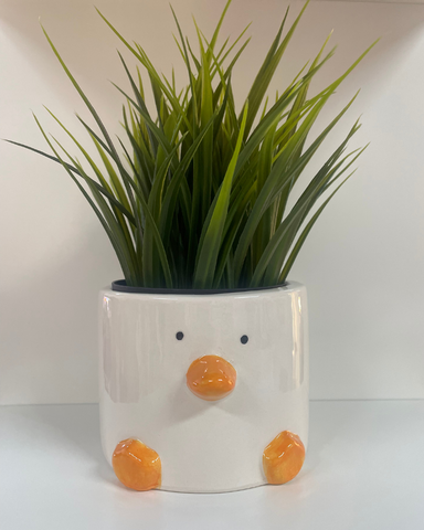 Duck Plant Pot