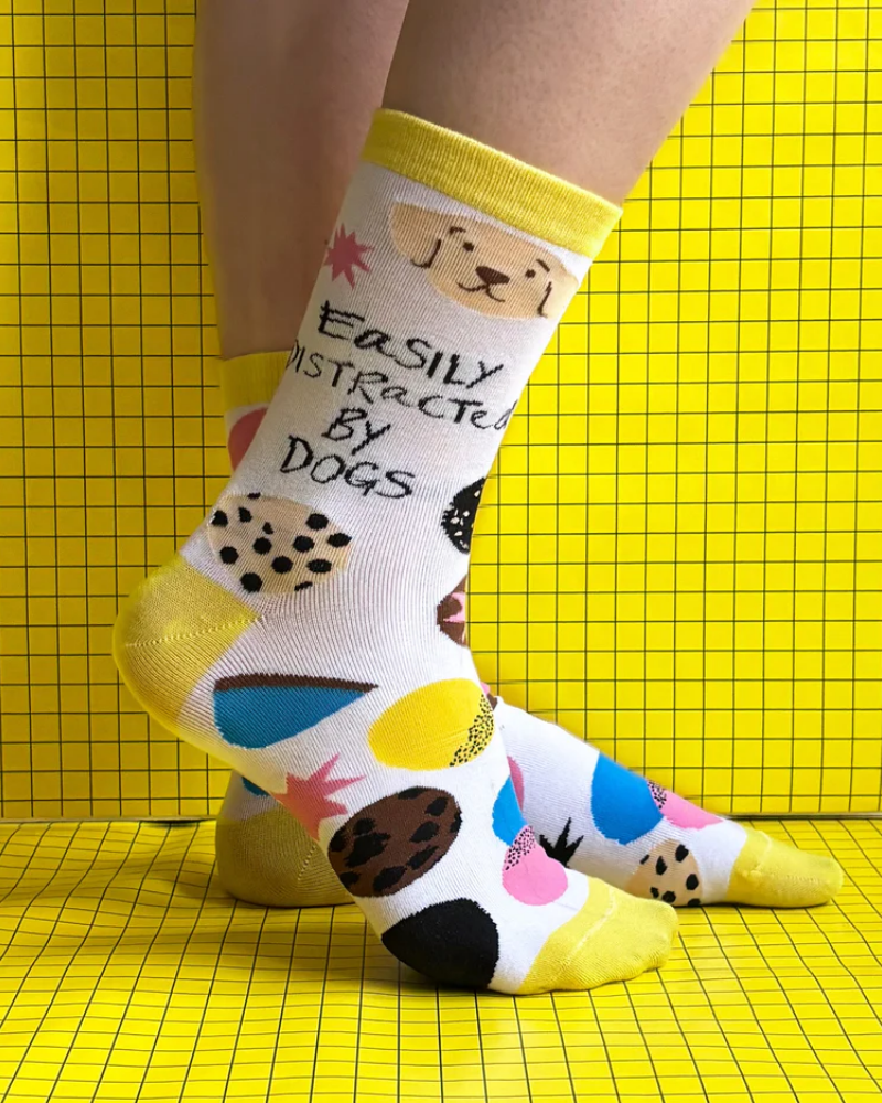 Small Talk 'Distracted by Dogs' Socks