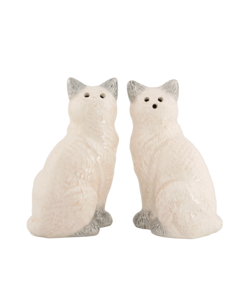 Painted Ragdoll Cats Salt & Pepper Set
