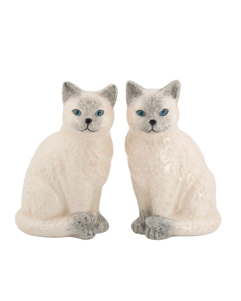 Painted Ragdoll Cats Salt & Pepper Set