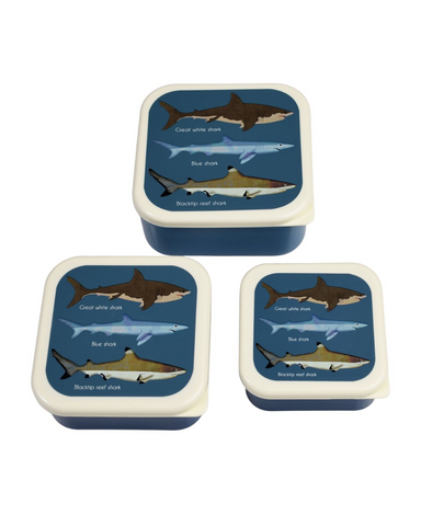 Shark Snack Boxes Set of 3