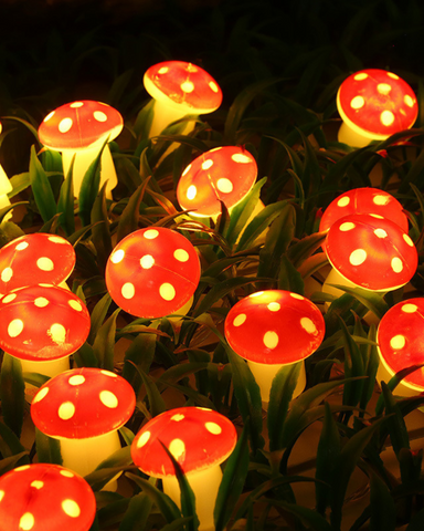 Red Mushroom Toadstool Indoor Lights