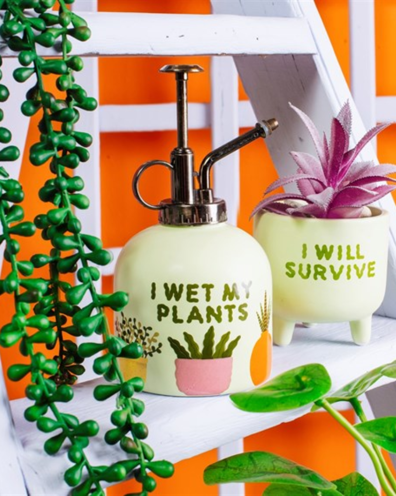 I Wet My Plants Mister