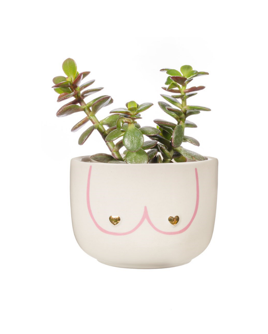 Large Girl Power Boobies Planter