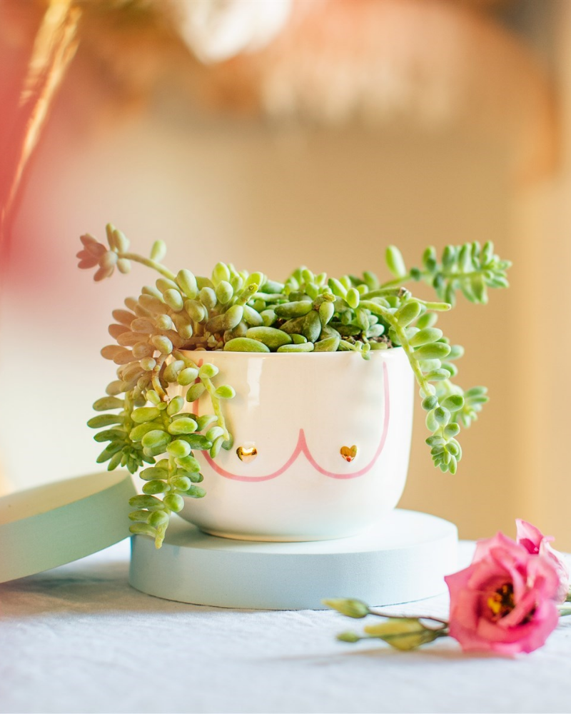 Large Girl Power Boobies Planter