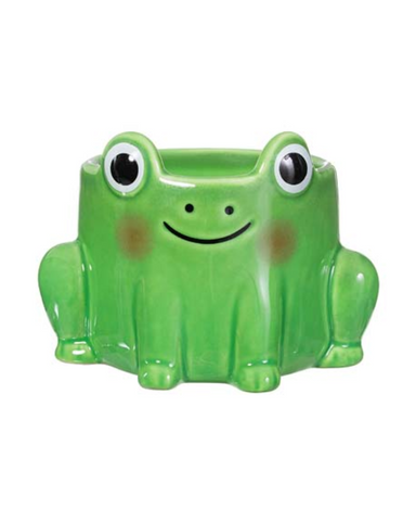 Mini Frog Planter