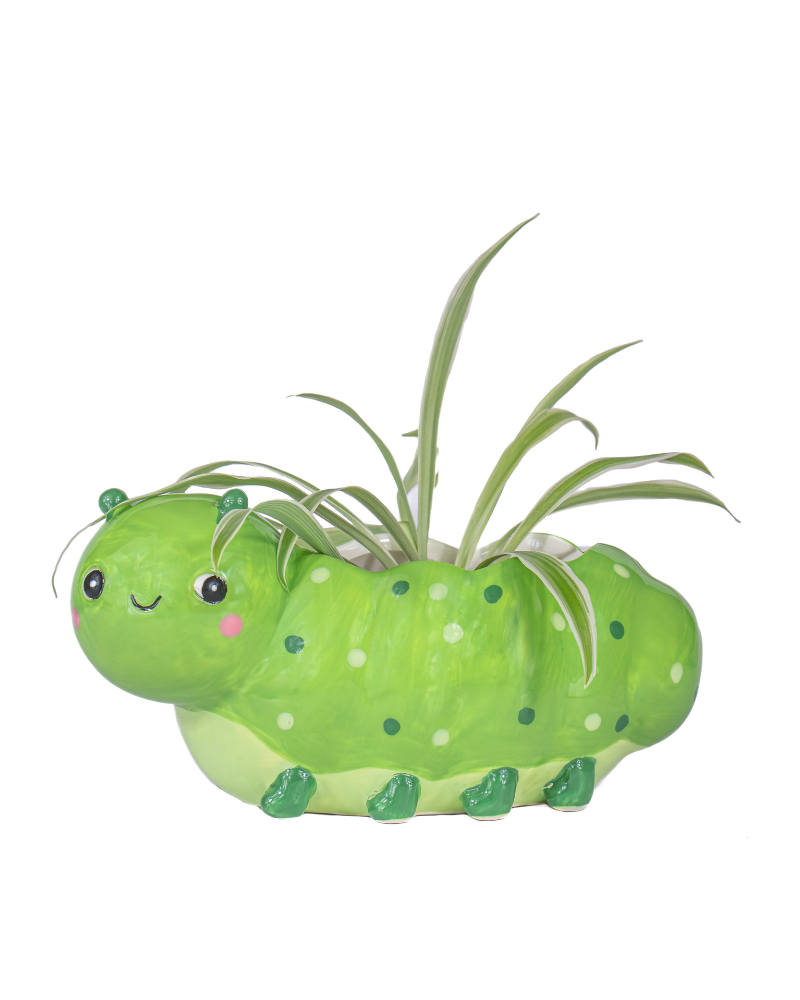 Mini Caterpillar Planter