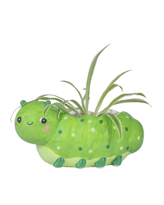 Mini Caterpillar Planter
