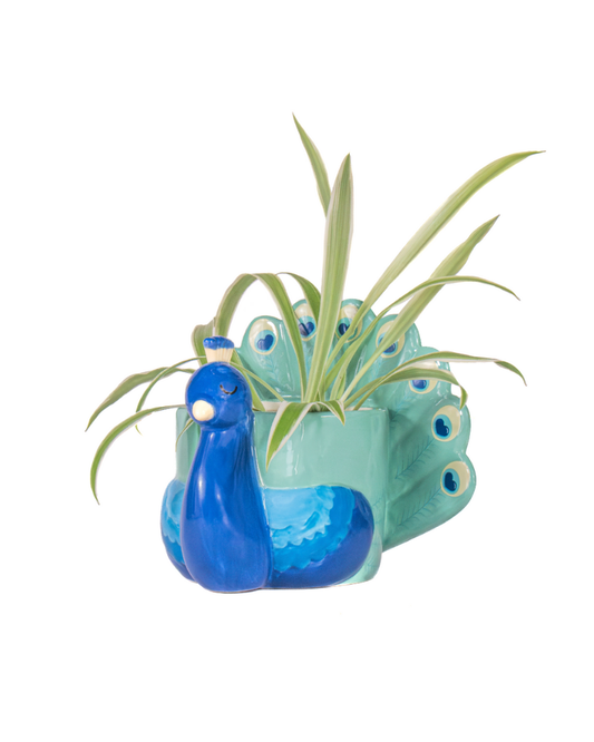 Mini Peacock Planter