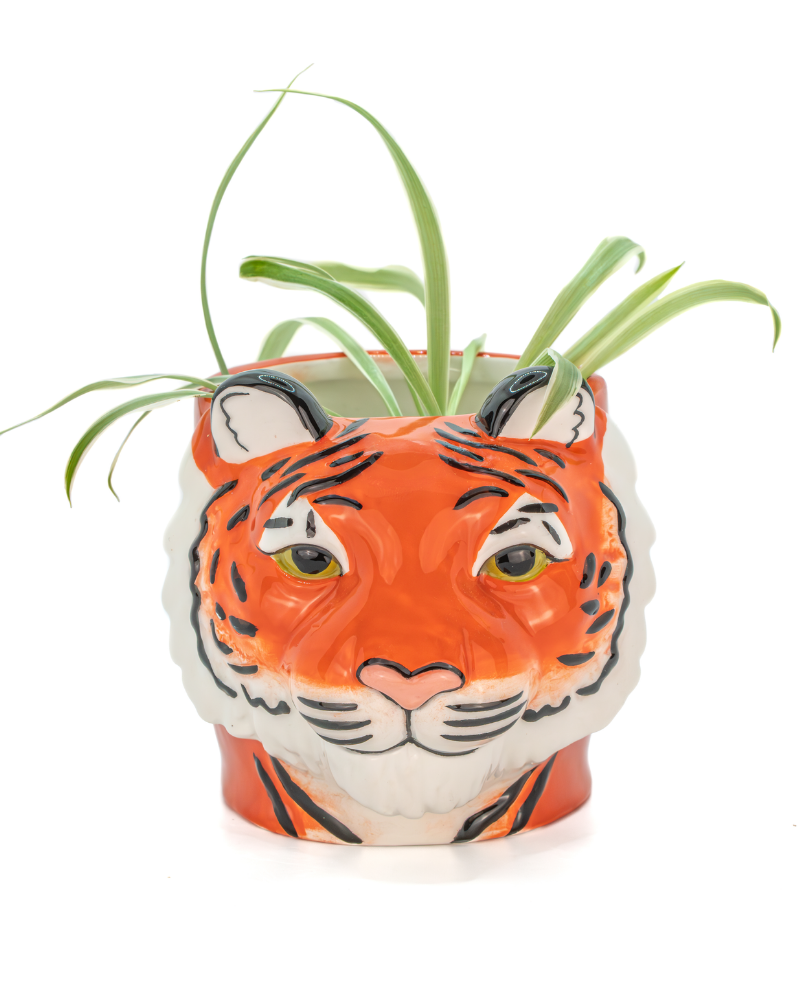 Mini Tiger Head Planter