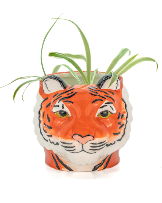 Mini Tiger Head Planter