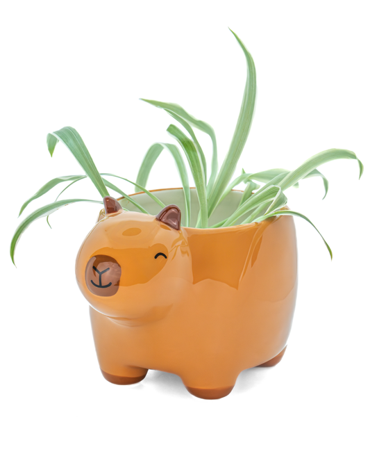 Capybara Planter