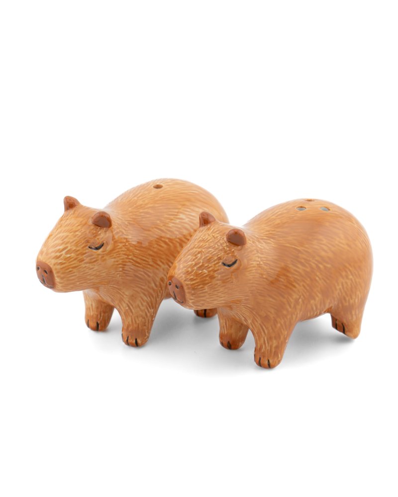 Capybara Salt & Pepper Shakers